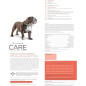 DIAMOND CARE WEIGHT MANAGEMENT PERROS CONTROL PESO 8 LB DIAMOND CARE WEIGHT MANAGEMENT PERROS CONTROL PESO 8 LB