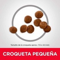 ALIMENTO HILLS PUPPY TOY BREED 4,5LB CACHORRO PEQUEÑOS RAZAS PERROS