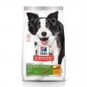 ALIMENTO HILLS ADULTOS 1-6 YOUTHFUL 12.5lb PERROS