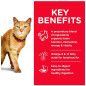 ALIMENTO HILLS GATOS KITTEN 3,5LB CACHORROS