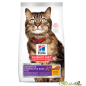 ALIMENTO HILLS ADULTOS SENSITIVE STOMACH & SKIN 3,5LB GATOS ALIMENTO HILLS ADULTOS SENSITIVE STOMACH & SKIN 3,5LB GATOS