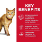 ALIMENTO HILLS YOUTHFUL V ADULTO 7+ 3lb GATOS ALIMENTO HILLS YOUTHFUL V ADULTO 7+ 3lb GATOS