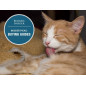ALIMENTO HILLS GATOS 7+ MATURE 4lb