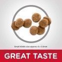 ALIMENTO HILLS GATOS KITTEN INDOOR 3,5 LB CACHORROS