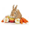 Alimentos 